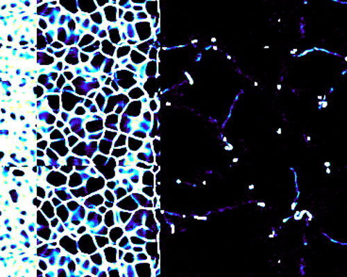 Galaxy simulation: matter clumping into filaments in a wrap-around universe