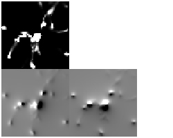 Java galaxy applet: matter and its gravity field